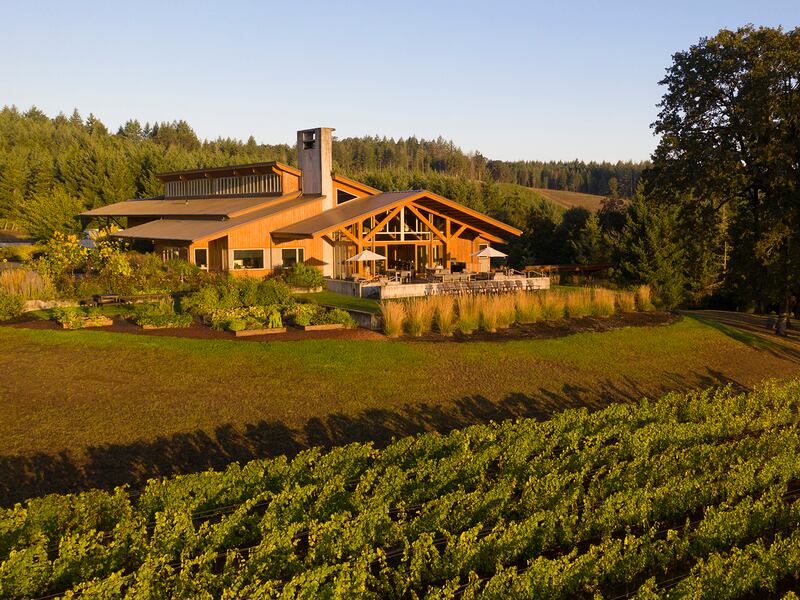 Aerial View over Penner-Ash Wine Cellars, Willamette Valley, Oregon