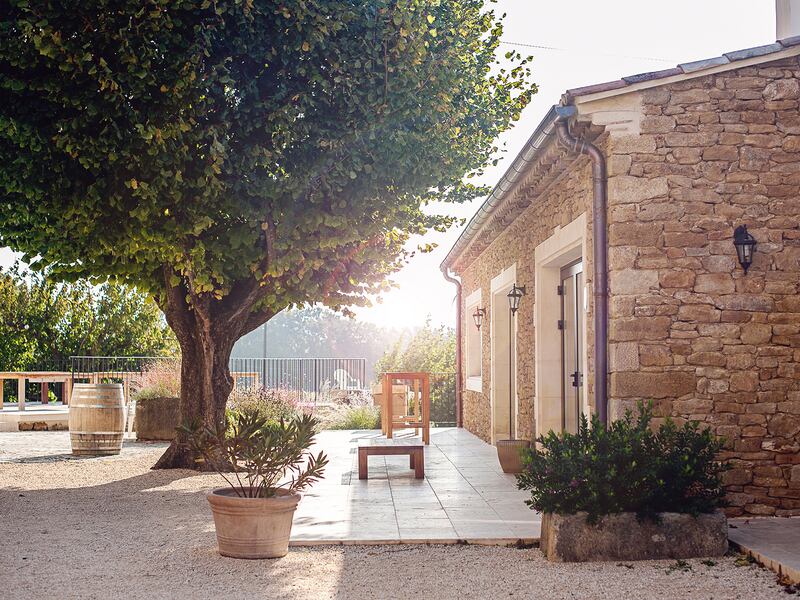 A stone built winery with large olive tree can be seen on this food tour of France