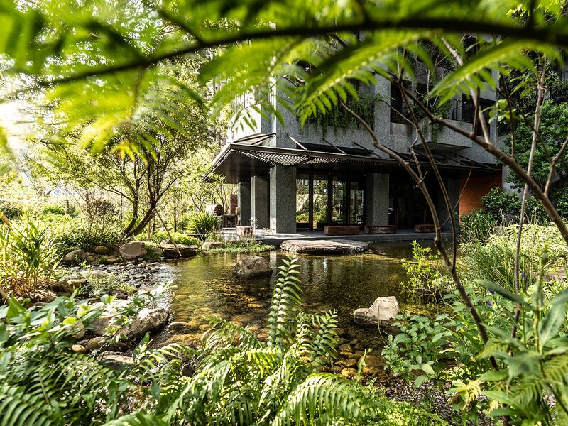Green architecture at a modern house surrounded by plants and trees