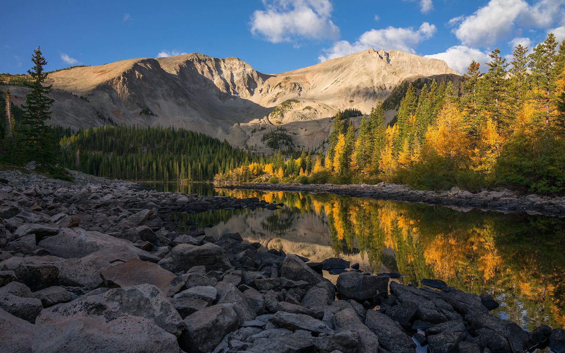 Carbondale-CO