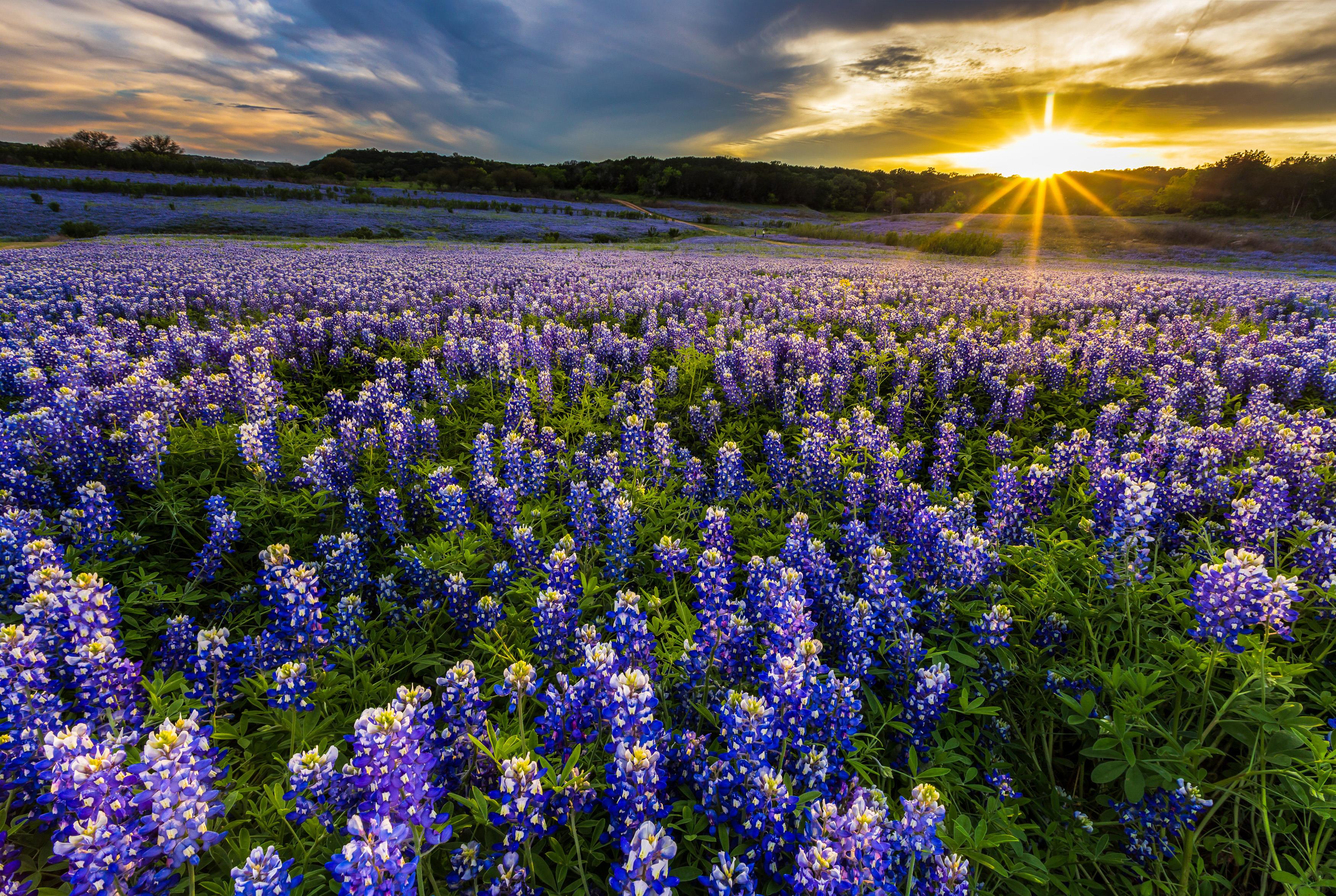 Austin-TX