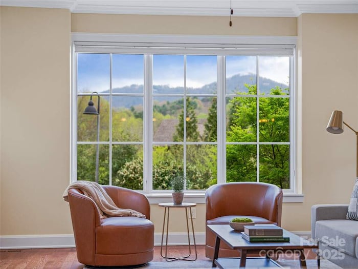 Property located at Single Family Home/House in Asheville, NC