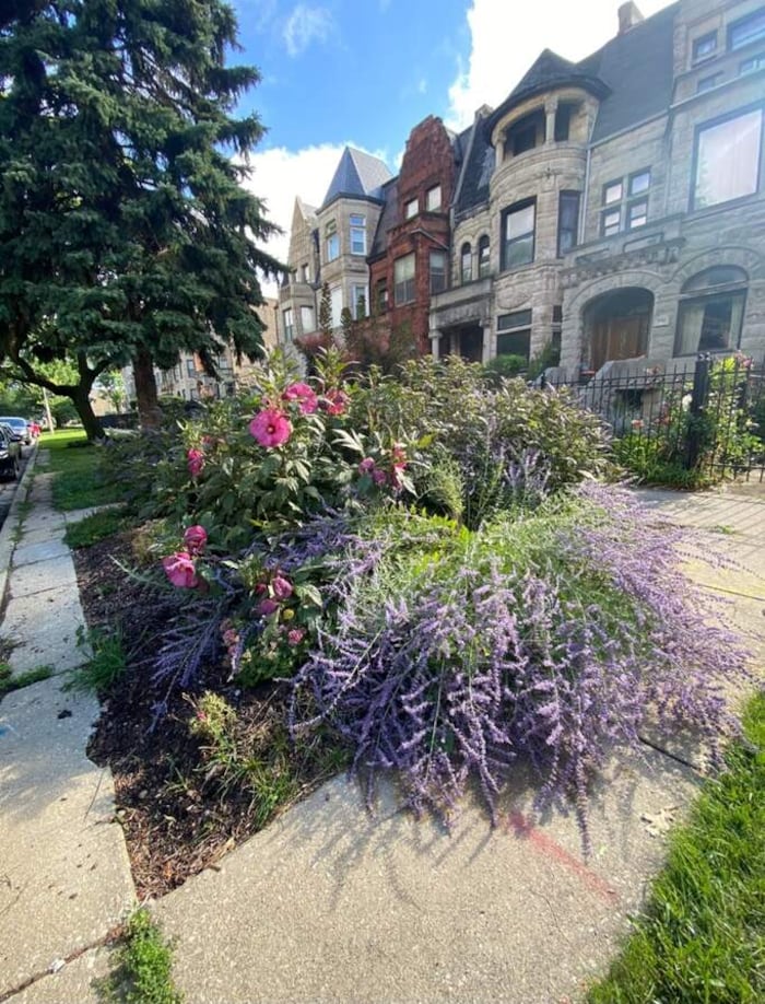 Property located at Single Family Home/House in Chicago, IL