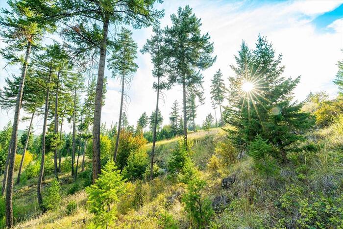 Property located at Land/Vacant Land in Lakeside, MT