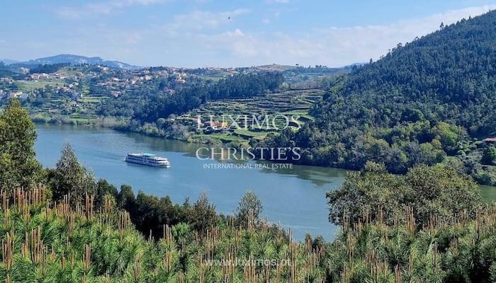 Property located at Farm/Ranch/Plantation in Penafiel, Portugal