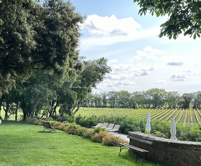 Vineyard in Aix-en-Provence, France