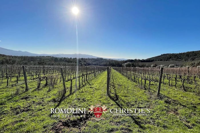 Property located at Vineyard in Montalcino, Italy