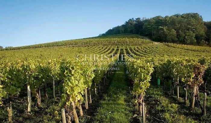 Property located at Vineyard in Saint-Émilion, France