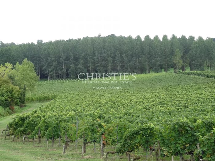 Property located at Vineyard in Bourg, France