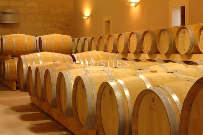 Property located at Vineyard in Saint-Émilion, France