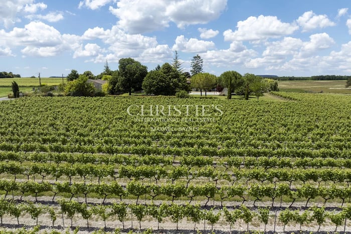 Property located at Vineyard in Cognac, France