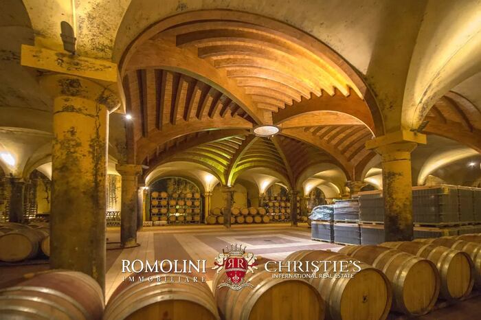 Property located at Vineyard in Castellina in Chianti, Italy