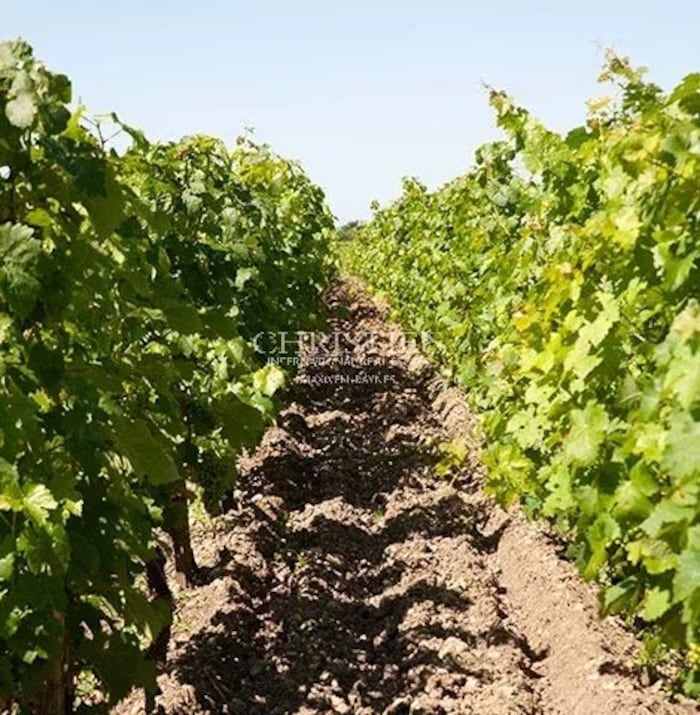 Property located at Vineyard in Lesparre-Médoc, France