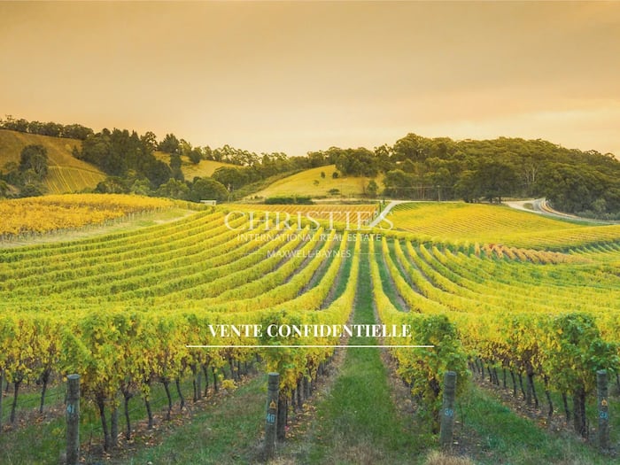 Property located at Vineyard in Cognac, France
