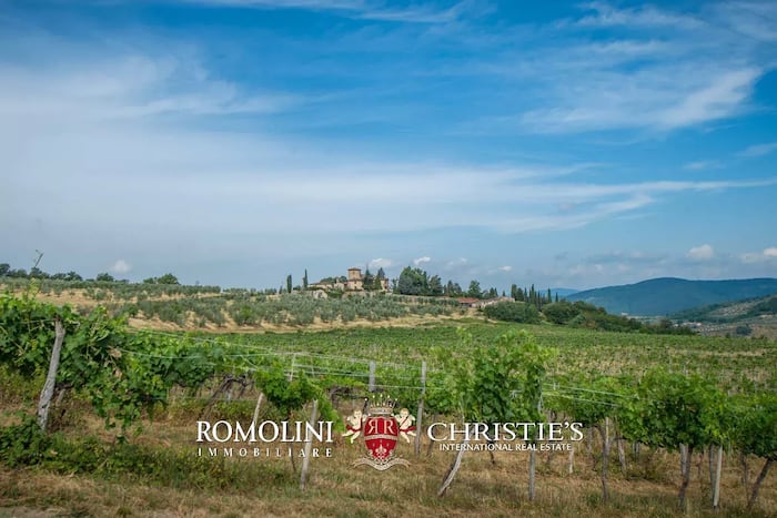 Property located at Vineyard in Pontassieve, Italy