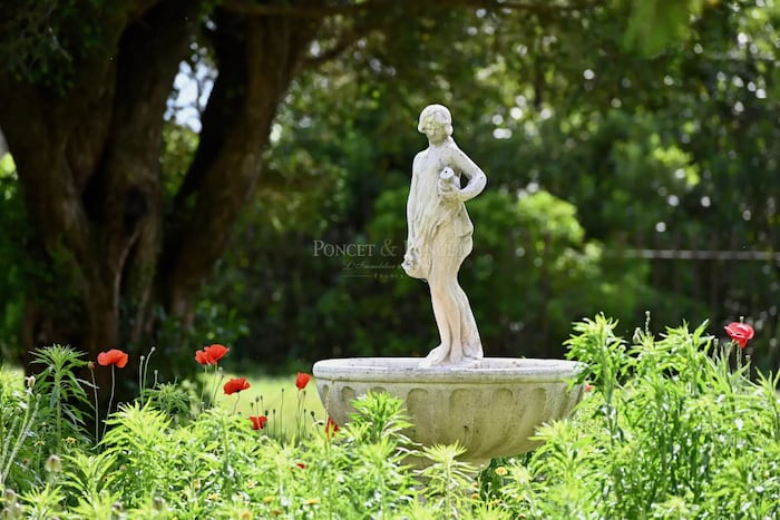 Property located at Vineyard in Suze-la-Rousse, France