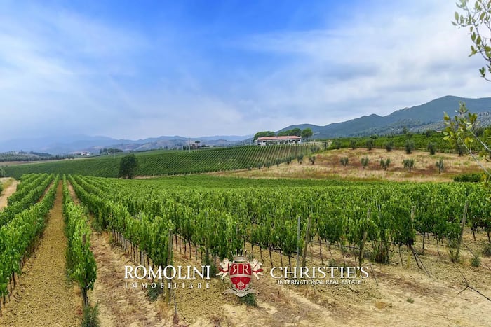 Property located at Vineyard in Roccastrada, Italy