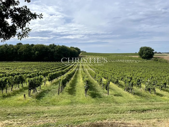 Property located at Vineyard in Duras, France