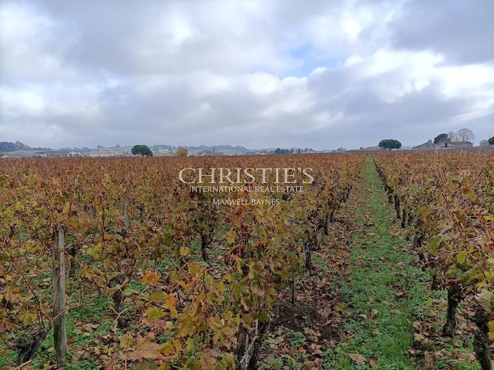 Property located at Vineyard in Saint-Émilion, France