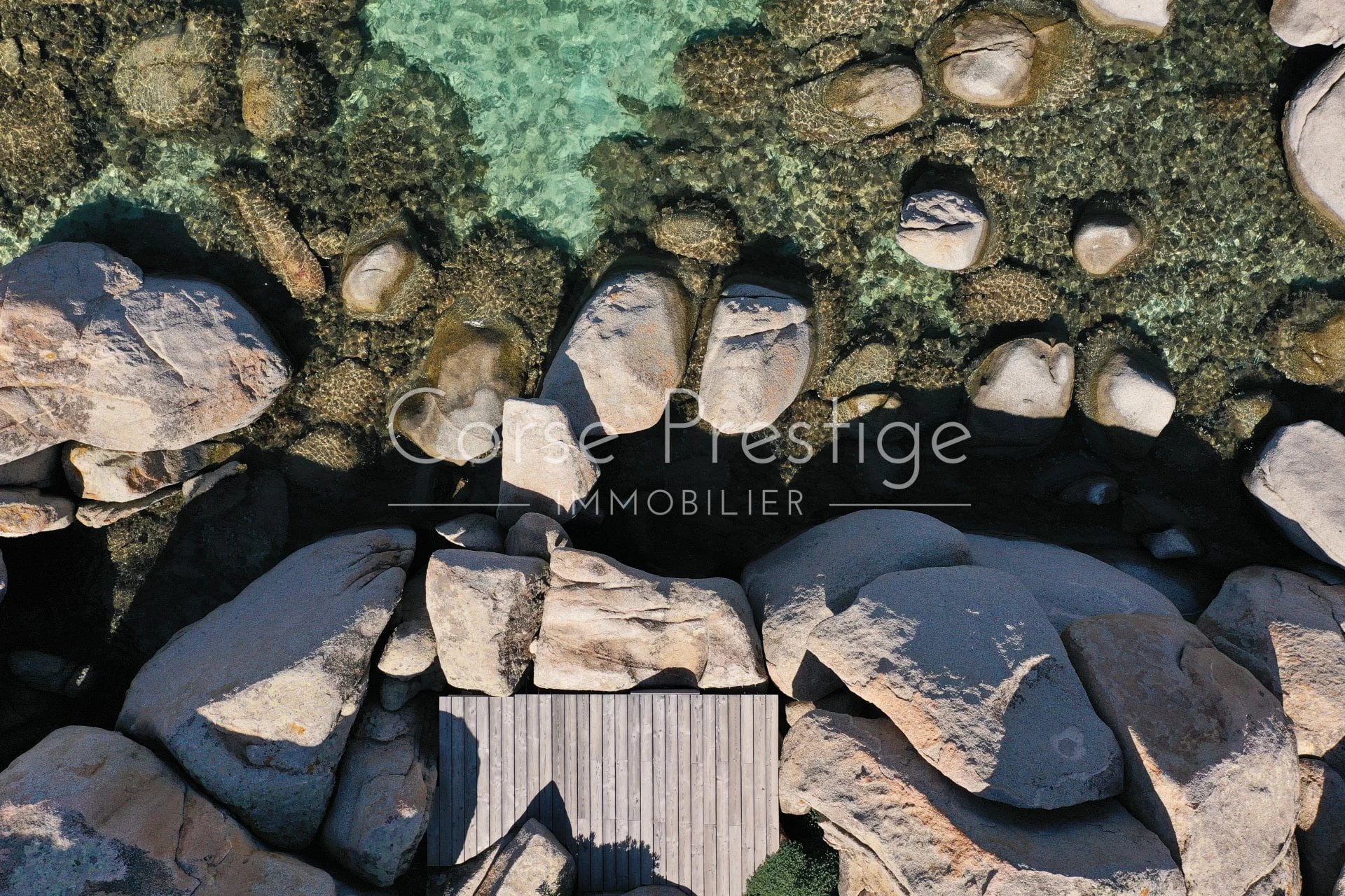 Gallery item