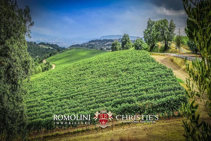 Property located at Vineyard in Roccastrada, Italy