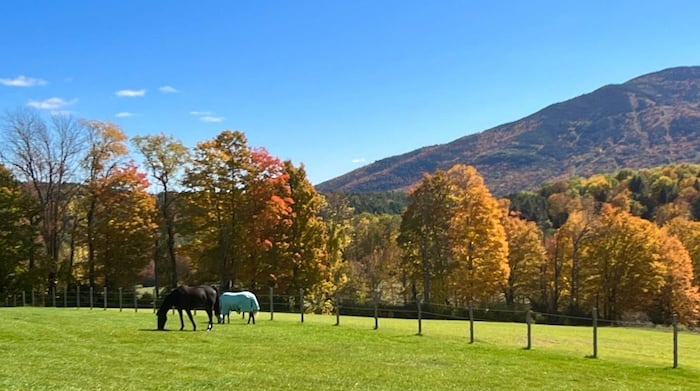 Property located at Single Family Home/House in West Windsor, VT