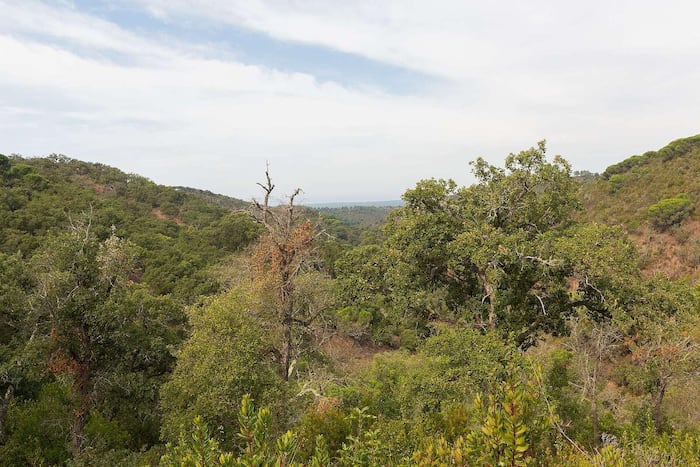 Property located at Farm/Ranch/Plantation in Santiago do Cacem, Portugal